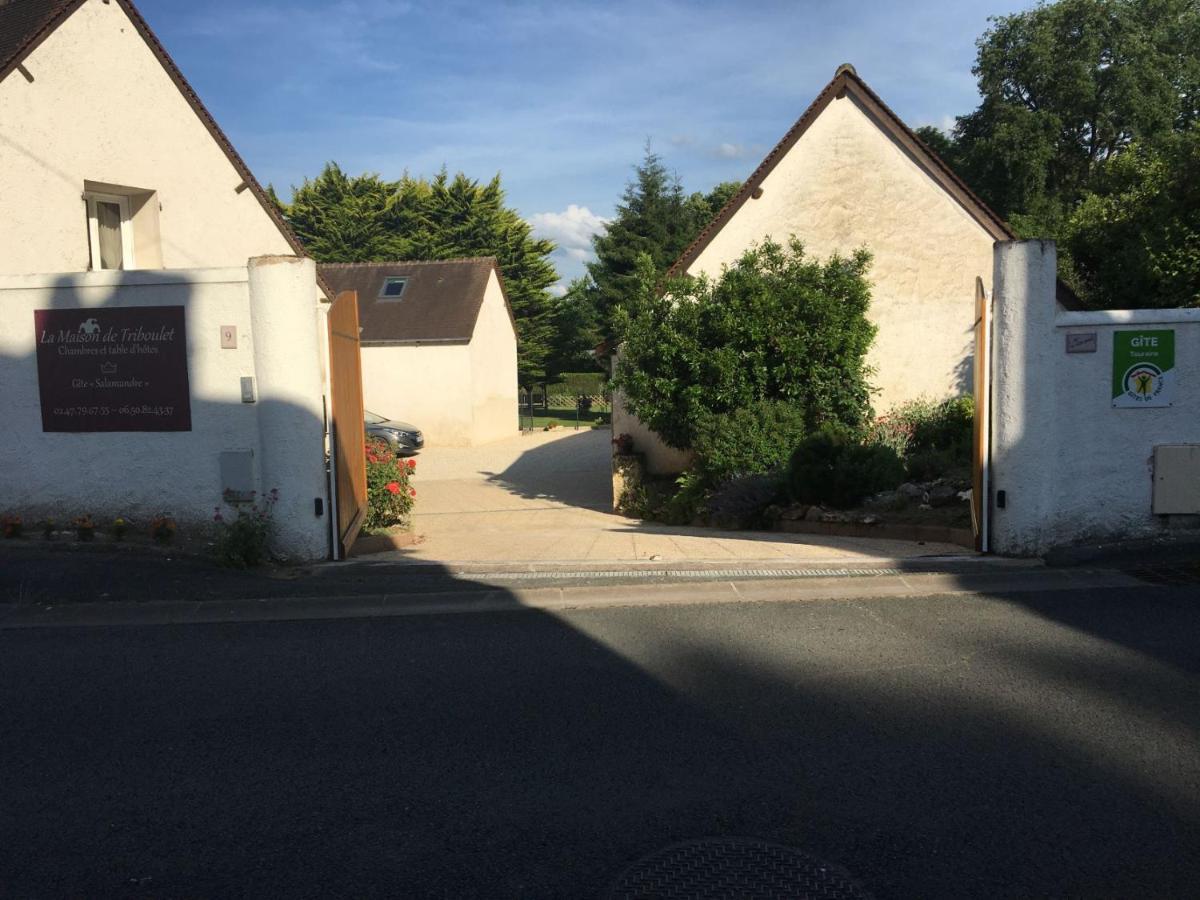 La Maison De Triboulet Chambres Et Table D'Hotes -Amboise- Poce-sur-Cisse Exterior photo